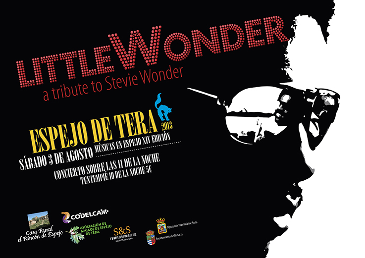 Cartel Concierto Espejo 2013 Little Wonder P